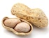 Erdnüsse