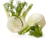 Fenchel