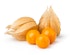 Physalis