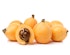 Loquat
