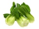 Pak-Choi