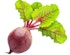 Rote Bete